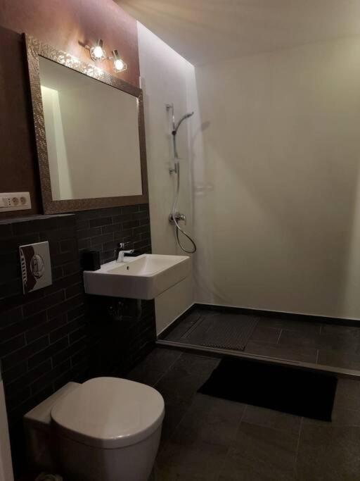 Alto Studio & Free Private Parking 브라쇼브 외부 사진