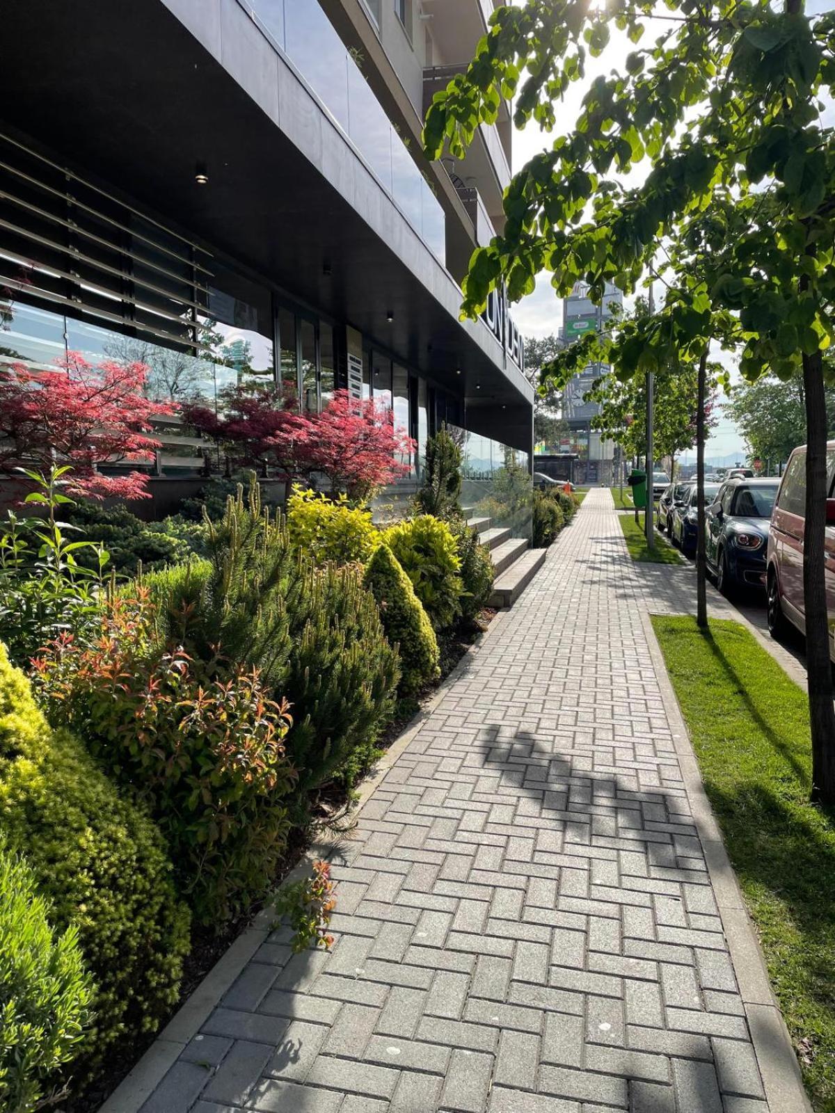 Alto Studio & Free Private Parking 브라쇼브 외부 사진