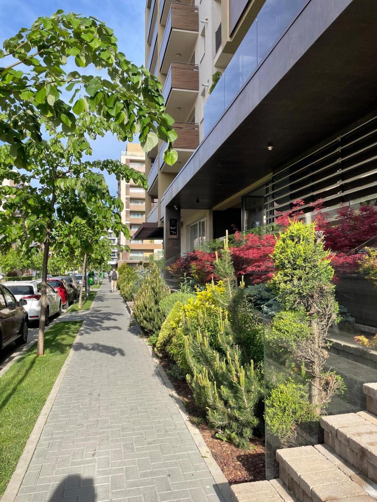 Alto Studio & Free Private Parking 브라쇼브 외부 사진